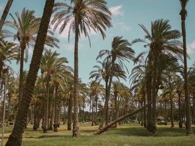 🎧 DIVINE CULTURALIZATION OF HUMANS PART 1.mp3